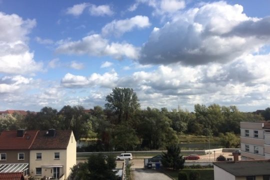 Ausblick auf die Elbauen und Alte Elbe